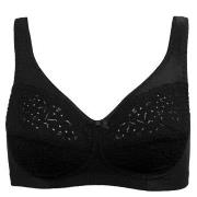 Damella BH Classic Soft Lace Bra Svart B 80 Dam