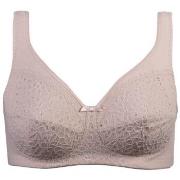 Damella BH Classic Soft Lace Bra Puder B 75 Dam