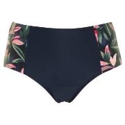 Missya Milano Bikini Maxi Brief Blå/Rosa 40 Dam