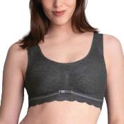 Anita BH Essentials Lace Bralette Mörkgrå Large Dam