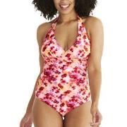 Abecita Haiti Halterneck Swimsuit Svart B/C 44 Dam