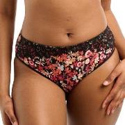 Sans Complexe Trosor Ava Fantasie Brief Svart/Rosa bomull Large Dam