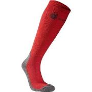 Seger Strumpor Alpine Compression Sock Röd Strl 43/45