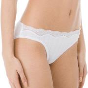 Calida Trosor Etude Toujours Low Cut Brief Vit bomull XX-Small Dam