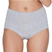 JBS of Denmark Trosor Bamboo Maxi Brief Ljusgrå X-Large Dam