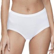 JBS of Denmark Trosor Bamboo Maxi Brief Vit X-Large Dam