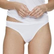 JBS of Denmark Trosor Bamboo Thong Vit Small Dam