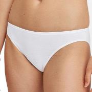 Calida Trosor Essential Cotton Low Cut Brief Vit bomull Medium Dam