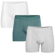 Pierre Robert Kalsonger 3P For Men Boxers Blå/Grå ekologisk bomull XX-...