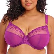 Elomi BH Matilda Underwired Plunge Bra Fuchsia/Lila J 80 Dam