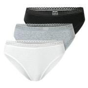 Schiesser Trosor 3P Modern Lace Rio Briefs Flerfärgad bomull 38 Dam