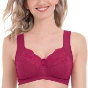 Anita BH Orely Support Bra Cherry nylon D 90 Dam