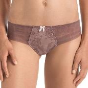 Rosa Faia Trosor Fleur Thong Berry 40 Dam