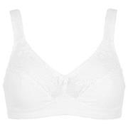 Damella BH Felice Soft Bra Vit bomull D 100 Dam