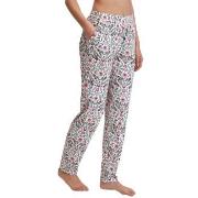 Calida Favourites Lavender Ljuslila bomull Medium Dam