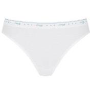 Sloggi Trosor 3P 24 7 100 Tai Briefs Vit bomull 44 Dam