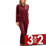 Damella Velour Plain Suit Mörkröd X-Large Dam