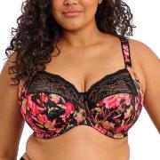 Elomi BH Morgan Banded Bra Blommig H 85 Dam