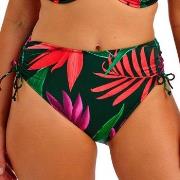 Fantasie Pichola High Waist Bikini Brief Blommig Large Dam