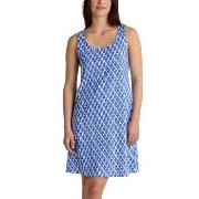 Calida Shell Nights Nightdress Rosa bomull X-Small Dam