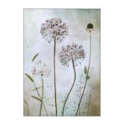 Poster & Frame - Mandy Disher poster 30x40 cm allium