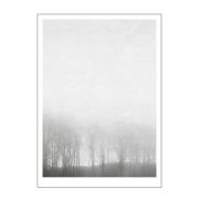 Poster & Frame - Ingrey Studio poster 30x40 cm morning fog