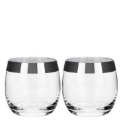 Viski - Irving Tumbler 2-pack