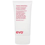 Evo Repair Mane Attention Protein Treatment 150 ml