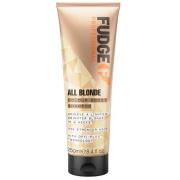 All Blonde Colour Boost Shampoo, 250 ml Fudge Shampoo