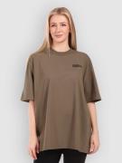 Horsefeathers Venus Linne fossil