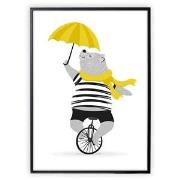 XO Posters Mr Bear On Unicycle Poster 50x70 cm