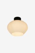 Aneta Lighting - Plafond Bell - Svart - Plafonder - Från Homeroom
