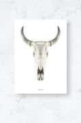 Malerifabrikken - Poster / Cow skull / Plano - Vit - Posters - Från Ho...