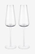 Blomus - Belo Champagneglas 20 cl 2-pack Klar - Transparent - Vinglas ...