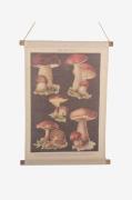 NORDFORM - Vägghängning Svamp - Natur - Posters & tavlor - Från Homero...