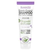 Biovène The Conscious™ Niacinamide Repair-Protect Shampoo Hair Fa