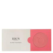 IDUN Minerals Blush Rabarbra 5 g