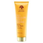 Arganmidas No Yellow Hair Mask 450 ml