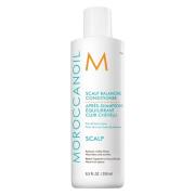 Moroccanoil Scalp Balancing Conditioner 250 ml