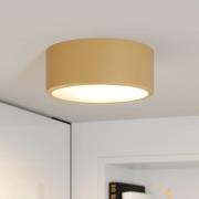 TEMAR LIGHTING Cleo taklampa, Ø 20 cm, guld