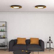 ACB ILUMINACIÓN Shiitake LED-taklampa, svart/guld