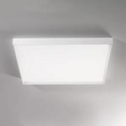 Linea Light LED-taklampa Tara maxi, 74 cm x 74 cm