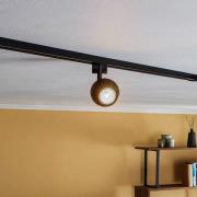 Prios Felipo 1-fas spotlight för strömskenor, svart