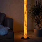 LeuchtNatur Gracia utan stav Olivträfot svart