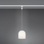 Trio Lighting DUOline Ontario taklampa, 2-fas strömskena, E14, glas