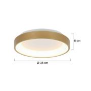 Steinhauer Ringlede LED taklampa, guld, höjd 6 cm, Ø 38 cm