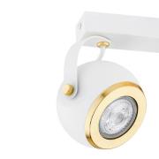 Argon Takspotlight Kos Plus, 2 lampor, mässing/vit