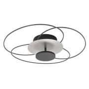 HighLight LED-taklampa Fiore, 2 700 K, svart/nickel