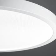 Waldmann LED-hänglampa VIVAA 2.0 Ø45cm kabel vit 3,000K