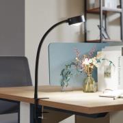 Lindby klämlampa Jyla, svart, lins, 3000K, GX53